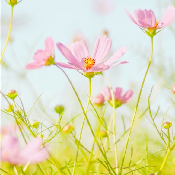 Meet your Posher, J - Picture 1 of 1